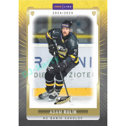 2024/25 Goal Cards Maxa liga 1. série #SOK-08 Adam Rulík Parallel 1of15