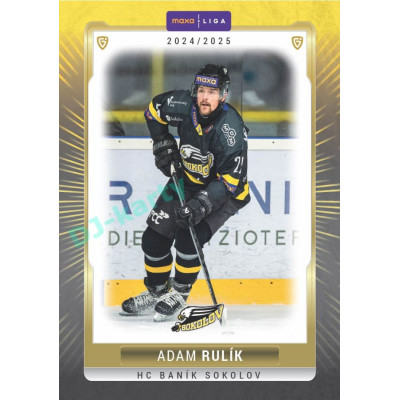 2024/25 Goal Cards Maxa liga 1. série #SOK-08 Adam Rulík Parallel 1of15