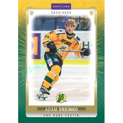 2024/25 Goal Cards Maxa liga 1. série #VSE-10 Adam Srdínko Parallel 1of40