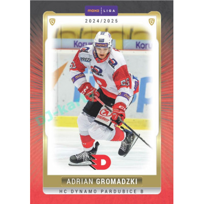 2024/25 Goal Cards Maxa liga 1. série #PCE-20 Adrian Gromadzki Parallel 1of15