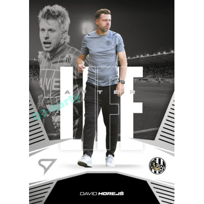 2024/25 Sportzoo Chance Liga 2. série #AL-08 David Horejš Afterlife