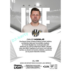 2024/25 Sportzoo Chance Liga 2. série #AL-08 David Horejš Afterlife