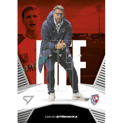 2024/25 Sportzoo Chance Liga 2. série #AL-13 David Střihavka Afterlife