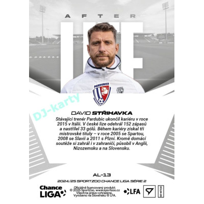 2024/25 Sportzoo Chance Liga 2. série #AL-13 David Střihavka Afterlife