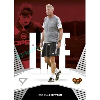 2024/25 Sportzoo Chance Liga 2. série #AL-18 Michal Horňák Afterlife