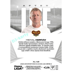 2024/25 Sportzoo Chance Liga 2. série #AL-18 Michal Horňák Afterlife