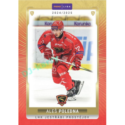2024/25 Goal Cards Maxa liga 1. série #PRO-09 Aleš Poledna Parallel 1of40