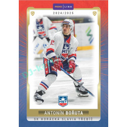 2024/25 Goal Cards Maxa liga 1. série #TRE-07 Antonín Bořuta Parallel 1of15