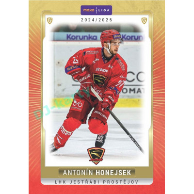 2024/25 Goal Cards Maxa liga 1. série #PRO-20 Antonín Honejsek Parallel 1of15