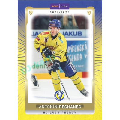 2024/25 Goal Cards Maxa liga 1. série #PRE-15 Antonín Pechanec Parallel 1of40