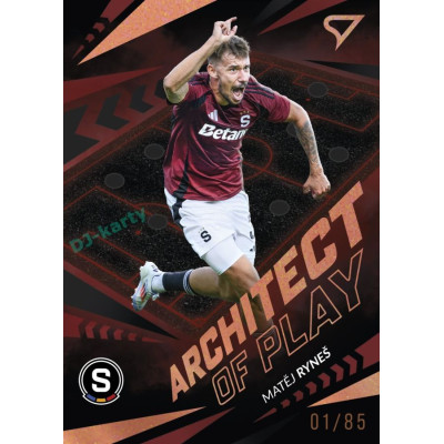 2024/25 Sportzoo Chance Liga 2. série #AP-01 Matěj Ryneš Achitects of Play Copper xx/85