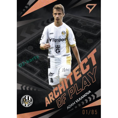 2024/25 Sportzoo Chance Liga 2. série #AP-14 Adam Vlkanova Achitects of Play Copper xx/85