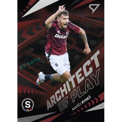2024/25 Sportzoo Chance Liga 2. série #AP-01 Matěj Ryneš Achitects of play