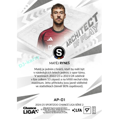 2024/25 Sportzoo Chance Liga 2. série #AP-01 Matěj Ryneš Achitects of play