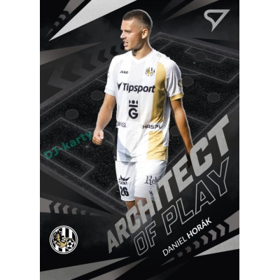 2024/25 Sportzoo Chance Liga 2. série #AP-13 Daniel Horák Achitects of Play