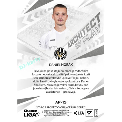 2024/25 Sportzoo Chance Liga 2. série #AP-13 Daniel Horák Achitects of Play