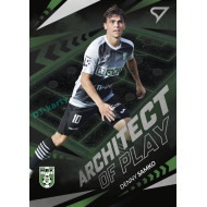 2024/25 Sportzoo Chance Liga 2. série #AP-25 Denny Samko Achitects of Play