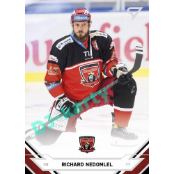 2021/22 Sportzoo TIPSPORT ELH #076 Richard Nedomlel