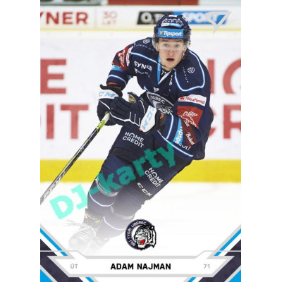 2021/22 Sportzoo TIPSPORT ELH #033 Adam Najman