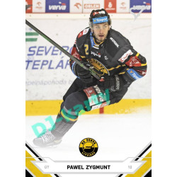 2021/22 Sportzoo TIPSPORT ELH #216 Pawel Zygmunt