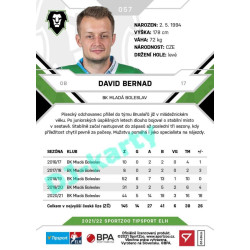 2021/22 Sportzoo TIPSPORT ELH #057 David Bernad