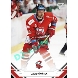 2021/22 Sportzoo TIPSPORT ELH #133 David Škůrek