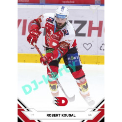 2021/22 Sportzoo TIPSPORT ELH #103 Robert Kousal