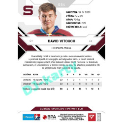 2021/22 Sportzoo TIPSPORT ELH #054 David Vitouch