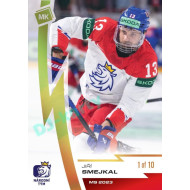 2023 MK reprezentace #056 Jiří Smejkal Gold 1of10