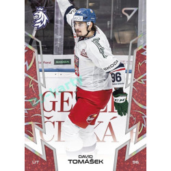 2024 Sportzoo Hokejové ČESKO #60 David Tomášek Red