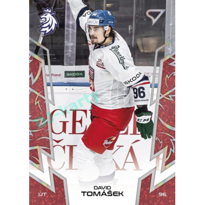 2024 Sportzoo Hokejové ČESKO #60 David Tomášek Red