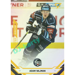 2021/22 Sportzoo TIPSPORT ELH Adam Najman #33 Gold xx/19