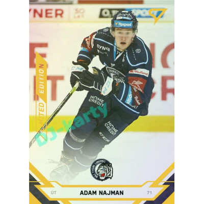 2021/22 Sportzoo TIPSPORT ELH Adam Najman #33 Gold xx/19