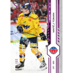 2024/25 Sportzoo ELH 1. serie #107 Matěj Toman Purple Iceberg xx/60