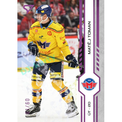 2024/25 Sportzoo ELH 1. serie #107 Matěj Toman Purple Iceberg xx/60