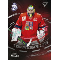 Top Prospect