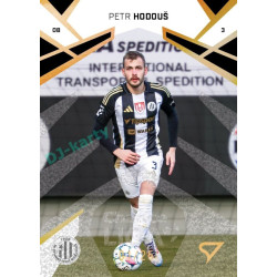 2024/25 Sportzoo Chance Liga 2. série #348 Petr Hodouš Gold Glitter xx/25