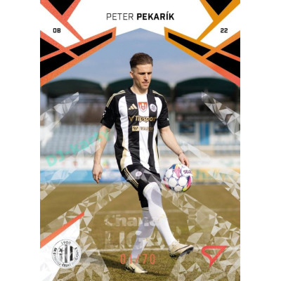 2024/25 Sportzoo Chance Liga 2. série #351 Peter Pekarík Copper Diamond xx/70