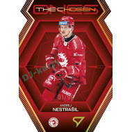 2024/25 Sportzoo ELH 2. serie #CO-03 Andrej Nestrašil The Chosen Ones Gold Die Cut xx/99