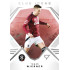 2024/25 Sportzoo Chance Liga 2. série #CI-01 Tomáš Wiesner Club Icons