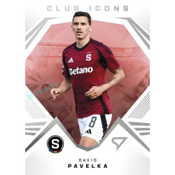 2024/25 Sportzoo Chance Liga 2. série #CI-02 David Pavelka Club Icons