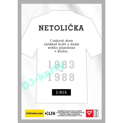 2023 Sportzoo Dekády fotbalové ligy #J-015 Jaroslav Netolička Takový dres oblékal