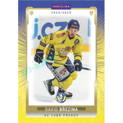 2024/25 Goal Cards Maxa liga 1. série #PRE-13 David Březina Parallel 1of15