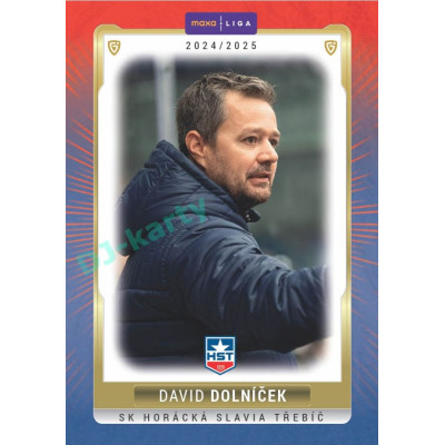 2024/25 Goal Cards Maxa liga 1. série #TRE-25 David Dolníček Parallel 1of15