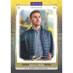 2024/25 Goal Cards Maxa liga 1. série #SOK-26 David Fečo Parallel 1of40