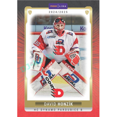 2024/25 Goal Cards Maxa liga 1. série #PCE-01 David Honzík Parallel 1of15