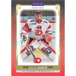 2024/25 Goal Cards Maxa liga 1. série #PCE-01 David Honzík Parallel 1of40