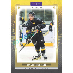 2024/25 Goal Cards Maxa liga 1. série #SOK-18 David Kofroň Parallel 1of15
