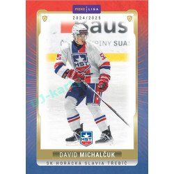 2024/25 Goal Cards Maxa liga 1. série #TRE-18 David Michalčuk Parallel 1of40