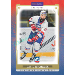 2024/25 Goal Cards Maxa liga 1. série #TRE-21 David Michálek Parallel 1of40